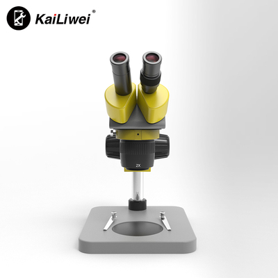 10E Binocular Microscope