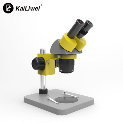 10E Binocular Microscope
